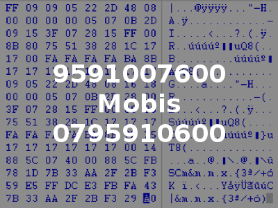 9591007600 Mobis 0795910600