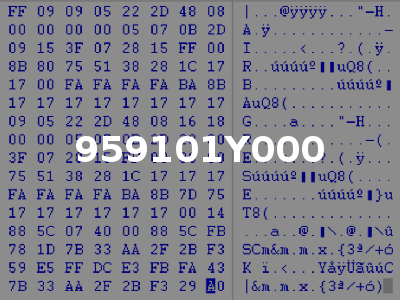 959101Y000