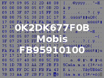 0K2DK677F0B Mobis FB95910100