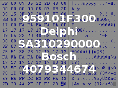 959101F300 Delphi SA310290000 Bosch 4079344674