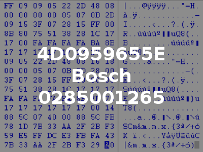 4D0959655E Bosch 0285001265
