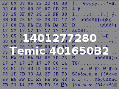 1401277280 Temic 401650B2