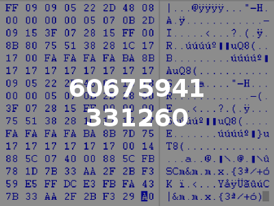 60675941 331260