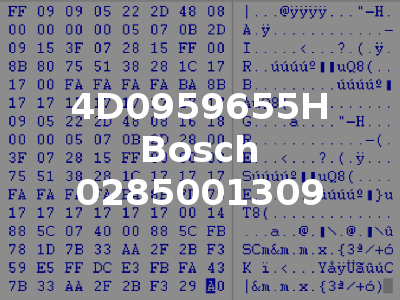 4D0959655H Bosch 0285001309