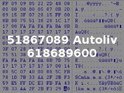 51867089 Autoliv 618689600