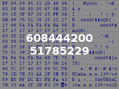 608444200 51785229
