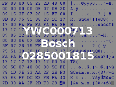 YWC000713 Bosch 0285001815