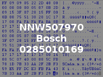 NNW507970 Bosch 0285010169