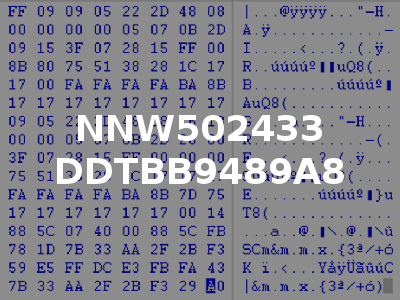 NNW502433 DDTBB9489A8