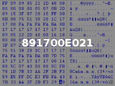 891700E021
