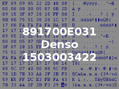 891700E031 Denso 1503003422