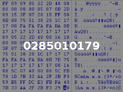 0285010179
