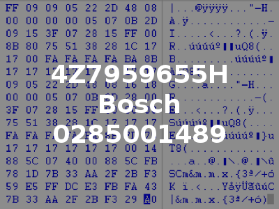 4Z7959655H Bosch 0285001489