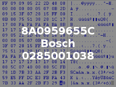 8A0959655C Bosch 0285001038