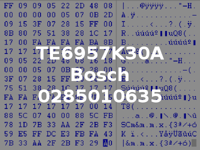 TE6957K30A Bosch 0285010635