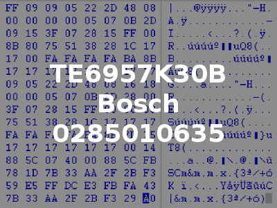 TE6957K30B Bosch 0285010635