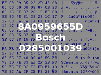 8A0959655D Bosch 0285001039