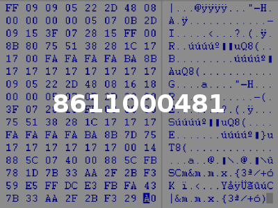 8611000481