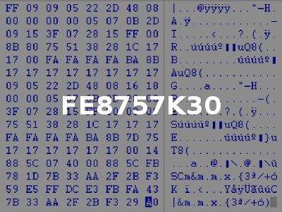FE8757K30