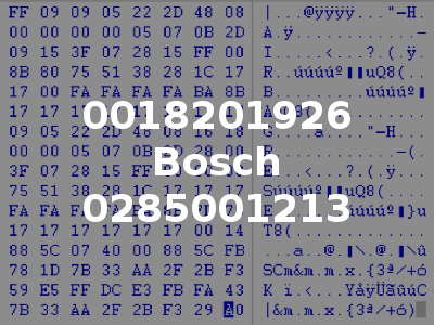 0018201926 Bosch 0285001213