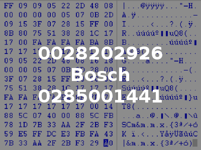 0028202926 Bosch 0285001441