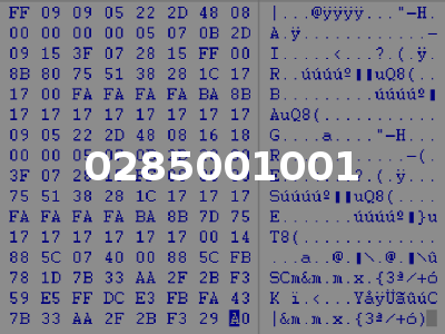 0285001001