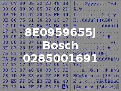 8E0959655J Bosch 0285001691