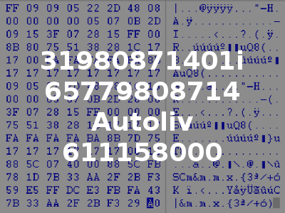 31980871401i 65779808714 Autoliv 611158000