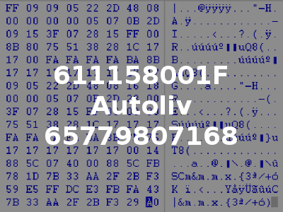 611158001F Autoliv 65779807168