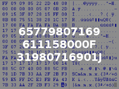 65779807169 611158000F 31980716901J