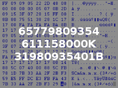 65779809354 611158000K 31980935401B