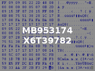 MB953174 X6T39782