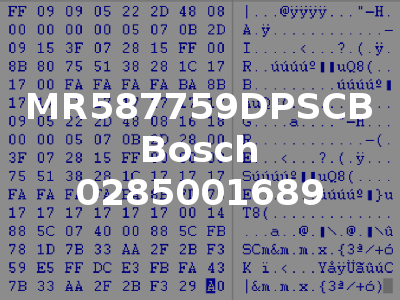 MR587759DPSCB Bosch 0285001689