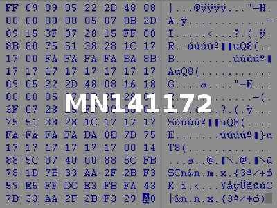 MN141172