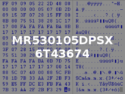 MR530105DPSX 6T43674