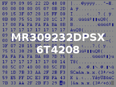 MR309232DPSX 6T4208