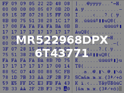 MR522968DPX 6T43771