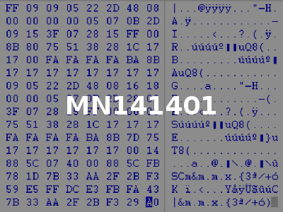 MN141401