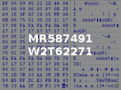 MR587491 W2T62271