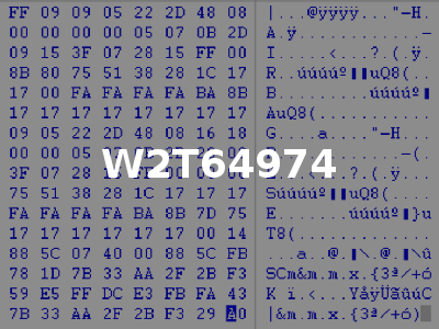 W2T64974