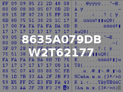 8635A079DB W2T62177
