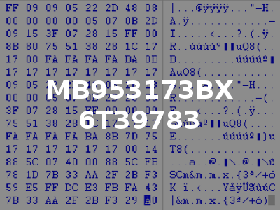MB953173BX 6T39783