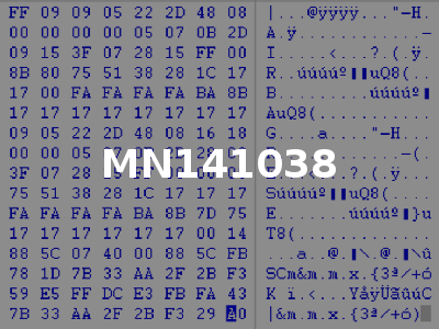 MN141038