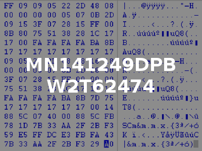 MN141249DPB W2T62474