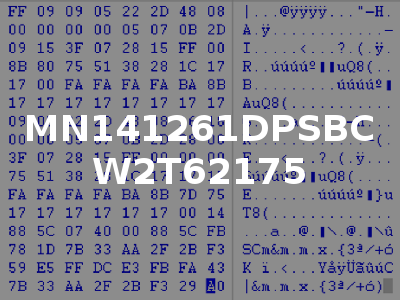 MN141261DPSBC W2T62175