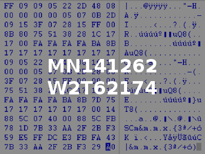 MN141262 W2T62174