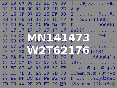 MN141473 W2T62176