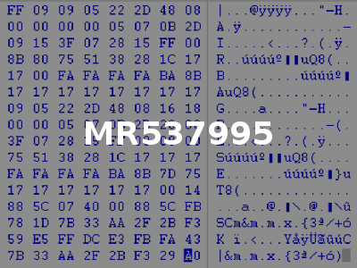 MR537995