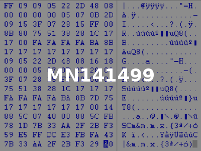 MN141499