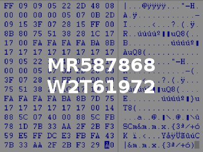 MR587868 W2T61972